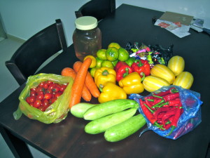 Yum! Cherry tomatoes, carrots, bell peppers, zucchini-like squash, hot red peppers, honeydew-like local melons, a bag of fun candies, some of the famous Jeju tangerines, and a big load of honey. We're ready for the week!