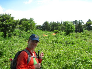 Walking in a field really close to non-fenced in cows. Look - cows! Right there! No fence!