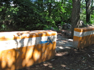 Another paint marker along some in-town fencing.