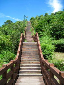 We walked SO many steps on this hike. Who knew a coastal trail would be so hilly? Our volcanic island has a lot of "failed volcanoes" (called "oreum") everywhere that are sizeable hills in their own right. Thankfully this trail was well maintained and had mostly even and mostly flat stairs to walk. This was just one tiny section getting up this oreum!