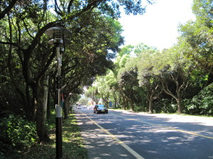 Our hiking trail - along a busy road.