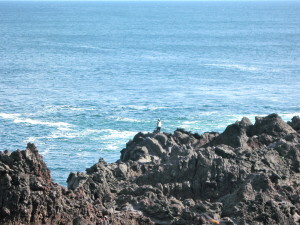 Beautiful cliffs. And see those people-shaped dots on top? Yep, those are local standing on the edge of really tall uneven cliffs, fishing with fishing poles in the ocean! What happens when the big one tugs on the line??