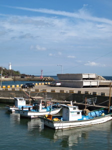 Another port along the trail - very square fishing boats in the harbor with a lighthouse in the background.