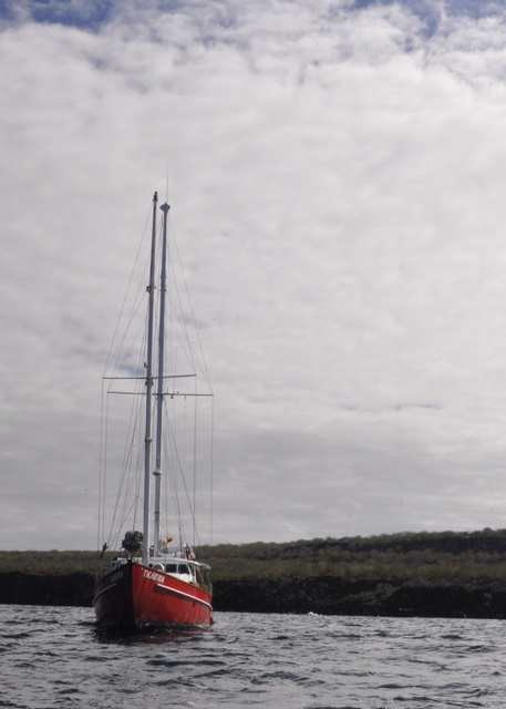 Galapagos: on the rocks and under the waves