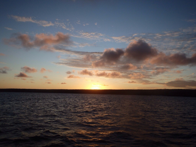 20140717-173435-63275874.jpg