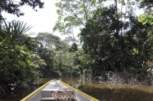 Ecuador III: The Amazon