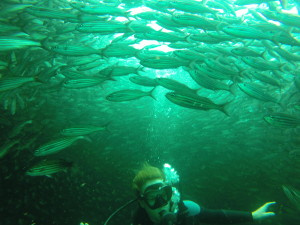 DCIM100GOPRO
