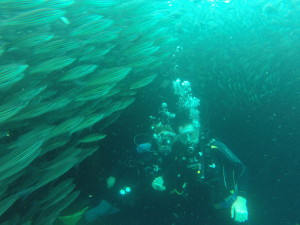 DCIM100GOPRO