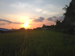 Our first rice paddy views - on our 2 hour drive from the airport to Ubud.