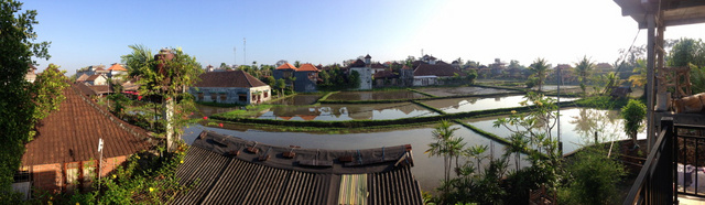 The morning view from the second floor of our bungalows.