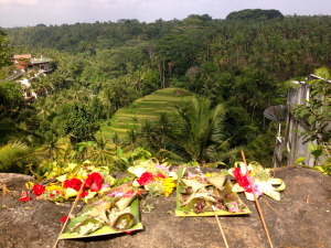 Some hand-made offerings along the trail and rice paddy terrace views.