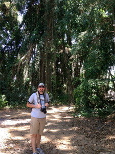 Patrick in front of one of the oldest Banyan trees in Bali. All those "stalks" are one tree system!