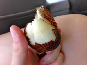 Fun local fruit: snakeskin fruit. Tasted a bit like a pear, but not quite.