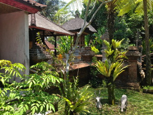Beautiful garden space in the family compound.