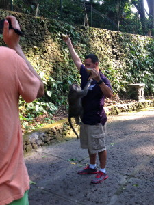 Monkey climbing a tour guide for a banana.
