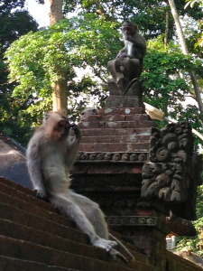 Temple monkey 3 - where'd everybody go?
