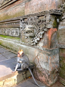 Temple monkey 2