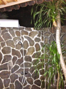 A tree growing next to the shower. It was lovely on the sunny afternoons.