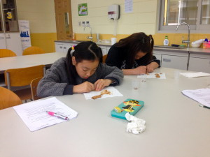 Students "mining" chocolate chips from cookies during a special environmental activity.