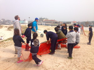 We also did a beach clean up. They were so proud of themselves for digging out this HUGE net, cleaning it of seaweed, and carrying it 100m to the dumpster!